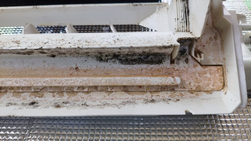 ドレンパンbefore